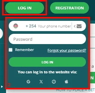 22Bet Kenya Login Button and Form Screenshot